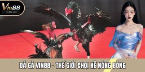 đá gà vin88