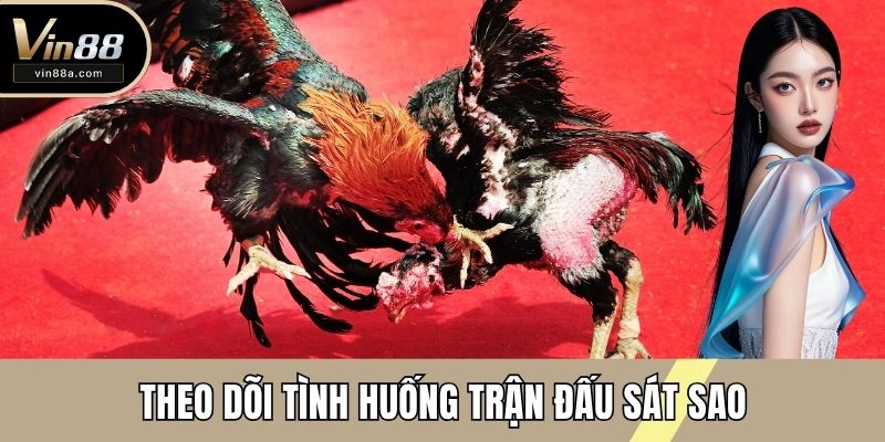 Theo dõi tình huống trận đấu sát sao