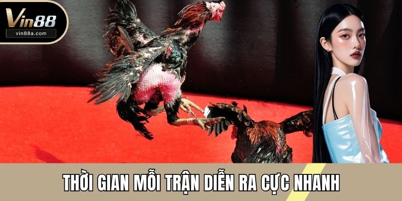 Thời gian mỗi trận diễn ra cực nhanh