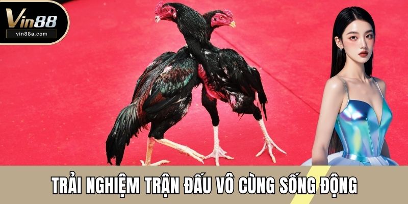 Trải nghiệm trận đấu vô cùng sống động
