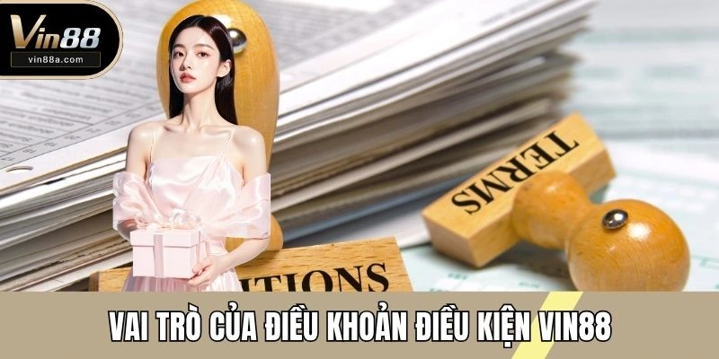 Vai trò của điều khoản điều kiện VIN88